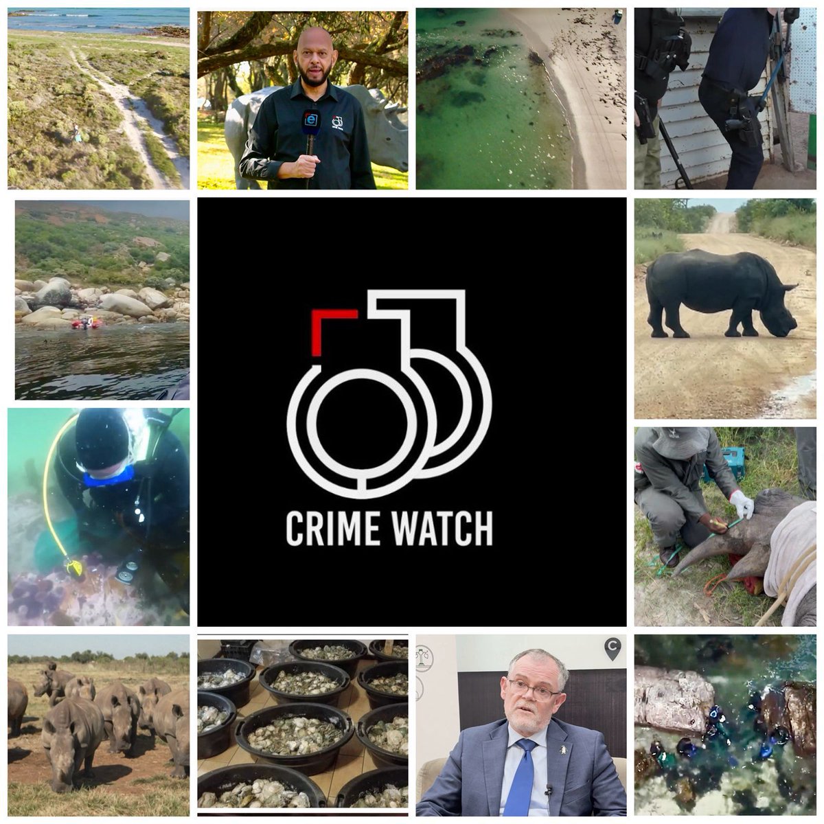 pule_jones's tweet image. [COMING UP]

Despite some efforts to curb environmental crimes, part of organised crime, it is imperative that actions are intensified to safeguard wildlife and marine life, which remain under relentless attack.

#CrimeWatch speaks to Dion George, Minister of Environment,…