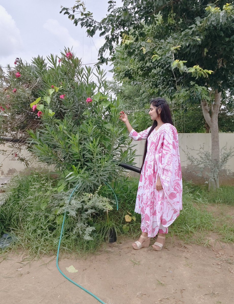 तीज त्योहारा बावड़ी,ले डूबी गणगौर…. 🩷 🩷 
#तीज_त्यौहार ❤️‍🩹