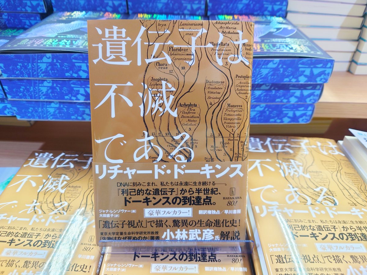 mjumeda's tweet image. 【理工】
『遺伝子は不滅である』
リチャード・ドーキンス 早川書房
現存する生き物の姿かたちや生態、遺伝子は、その祖先たちが生きていた世界のあり方を記録した「本」として読むことができる。『利己的な遺伝子』の考察をさらに深め、卓抜な表現で綴られたドーキンス進化論の決定版。