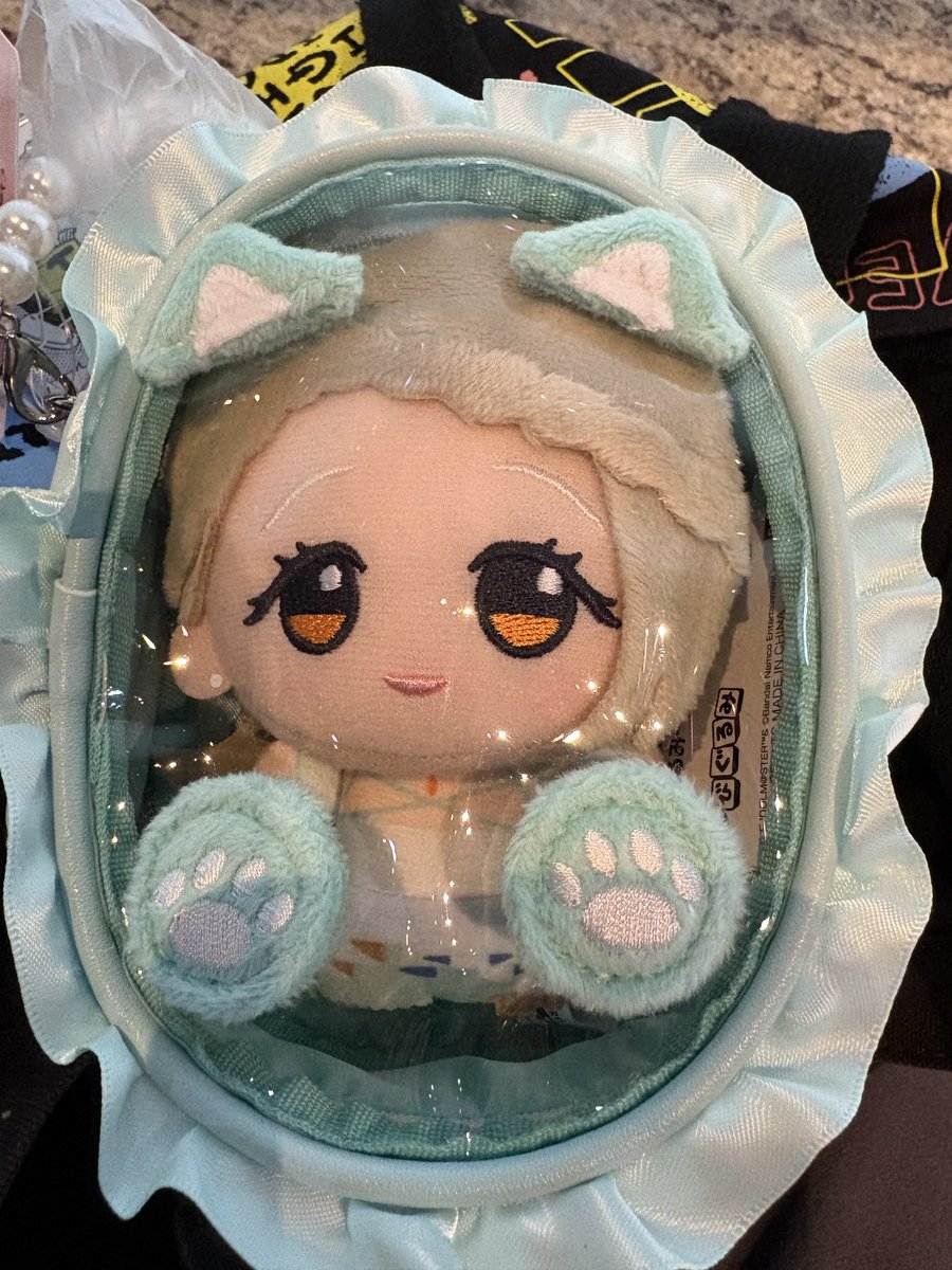 さっきの広ちゃん。ケースに入れてみた。
可愛い。