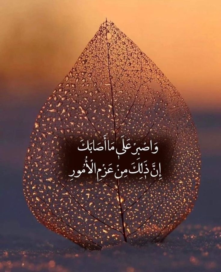 ٠٠ اطمئــن💚🌿