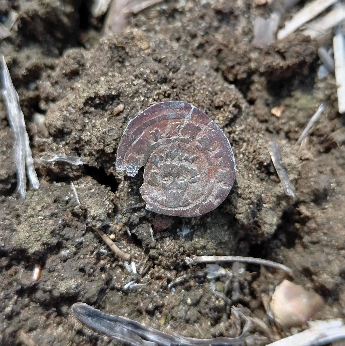 SDetectorist's tweet image. I call these my spooky eyed coins.
A halfpenny of Edward III, star marked coinage, AD 1335-1343.
Similar to the one I found a few days back, but different class.