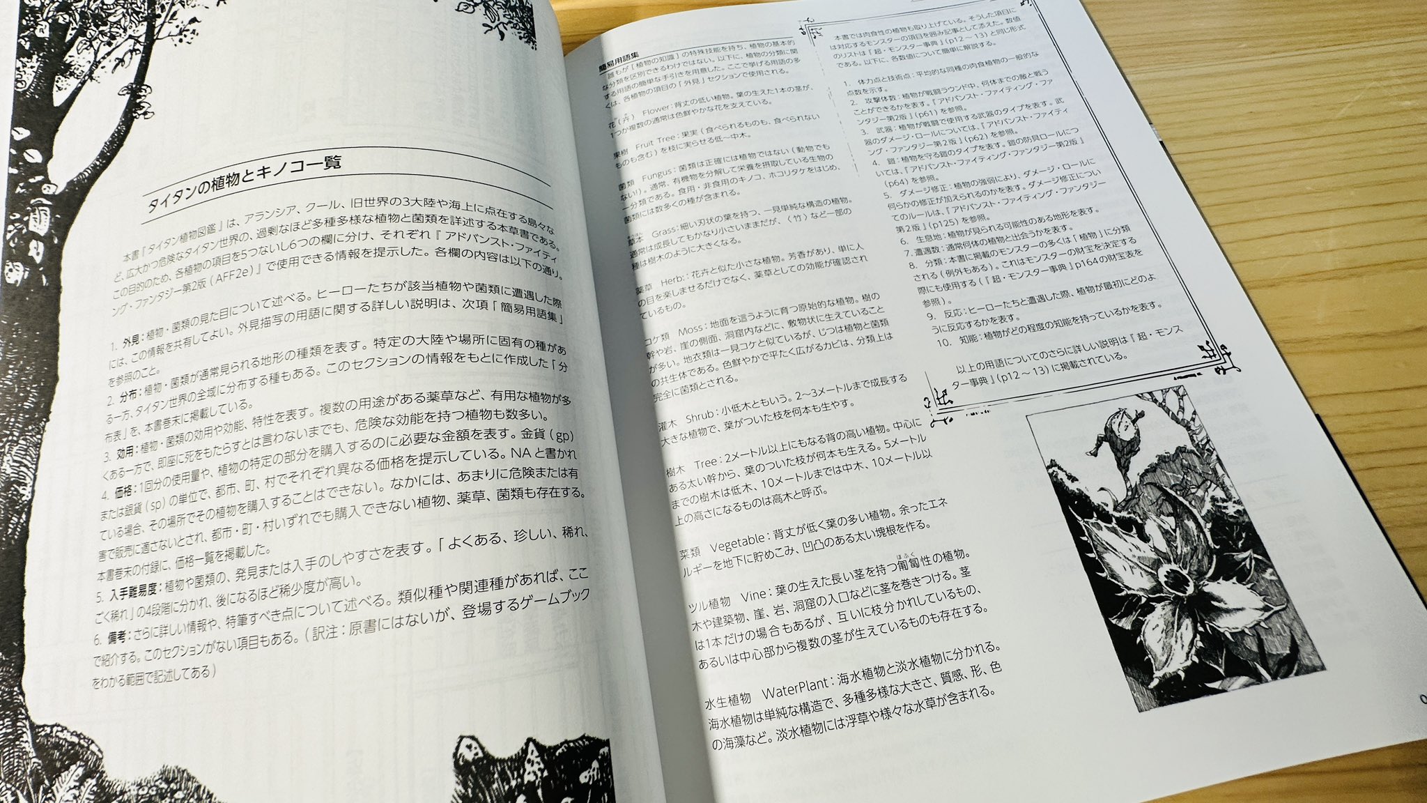 TRPG ゲームブック　「タイタン植物誌」　ファイティングファンタジー TRPG ゲームブック 「タイタン植物誌」 ファイティング