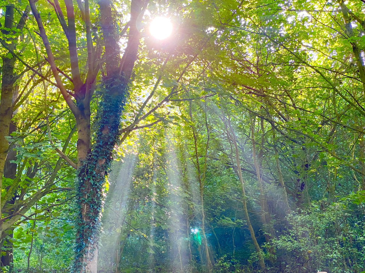 Happy Weekend Everyone and enjoy your weekend 🍀✌️😁😍💝🙏🌹🌺🤩☕️🍦🥰✌️🍀🤗