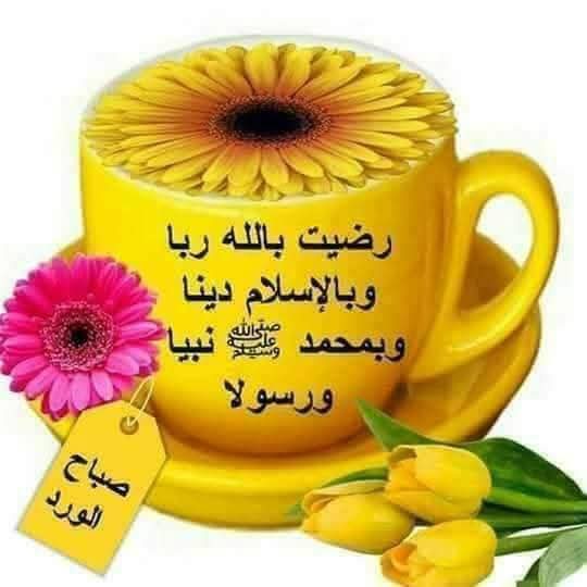 ابراهيم مجاهد اسماعيل (@kryoeidemu3ptck) on Twitter photo 