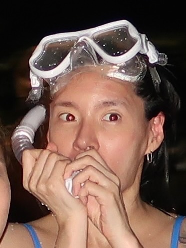 DC 모니카 갤러리 tweet media