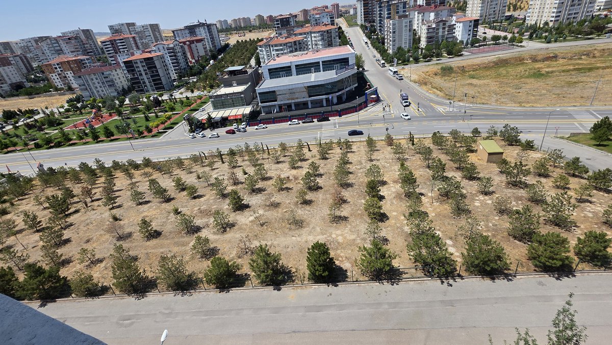 Sesimi duyan var mı? <a href="/etimesgutbld/">Etimesgut Belediyesi</a> <a href="/erdalbeskcioglu/">Erdal Beşikcioğlu</a> kaç kere yazmak lazım eyy yetkililer. Dikilene bile sahip çıkamayan, hatıra ormanına sahip çıkmasını beklemek, deve hendek misali. Şehit utku çakıroğlu hatıra ormanına sahip çıkın.  Yakında torbacıların mekanı olur.<a href="/TC_icisleri/">T.C. İçişleri Bakanlığı</a>