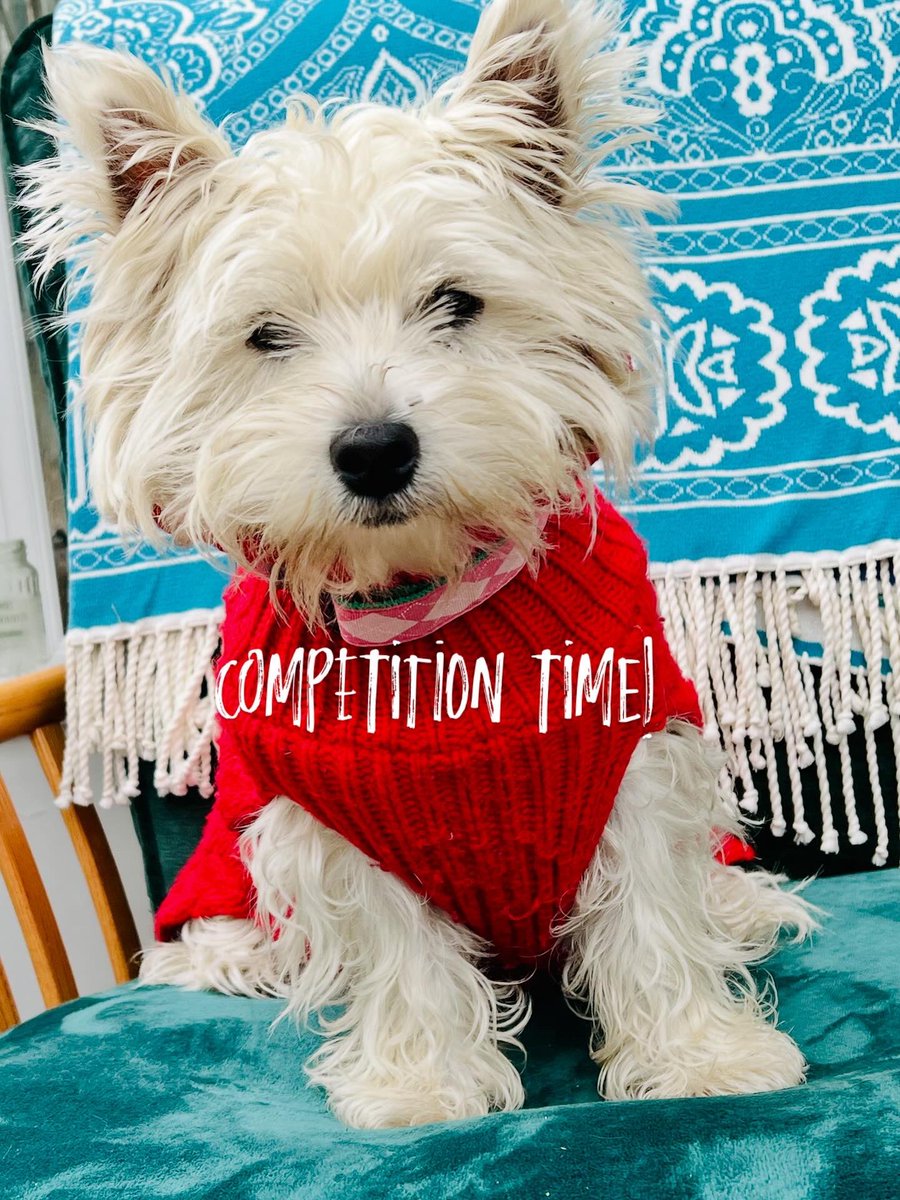 Pop over to <a href="/instagram/">Instagram</a> to see the great competition we have running this week with the chance to win tickets for Joseph and the Amazing Technicolour Dreamcoat in Glasgow next weekend. Free to enter. Thank you <a href="/ATGTICKETS/">ATGtickets</a> 

instagram.com/p/DMlEfhLqJlC/…
For