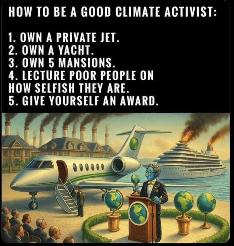 wideawake_media's tweet image. How to be a good climate activist. 🎯