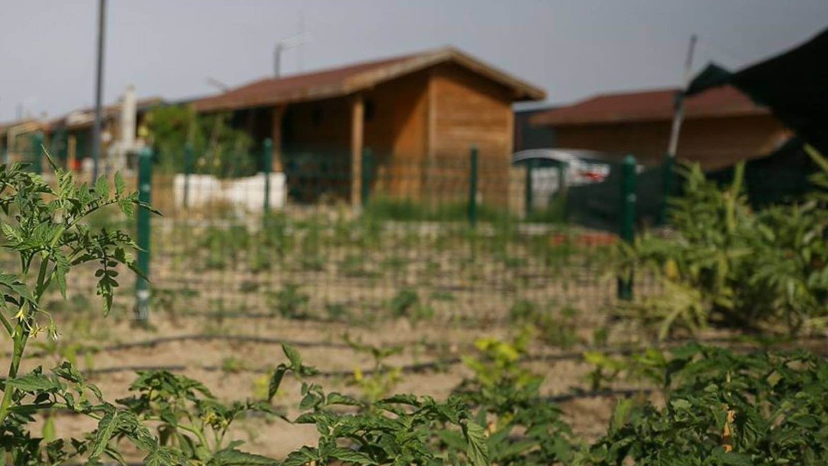 Kira ödeyemeyen emekliler hobi bahçelerinde yaşıyor‼️

Konut krizi sebebiyle emekli maaşı kirayı karşılamayan emekliler hobi bahçelerinde ikamet  etmeye başladı⁉️

#EmeklilerSandığıBekliyor
#5000KısmiSandığıBekliyor
Deprem Okan Sane Ali Koç Macron 
Ülke Sayın Aziz Yıldırım Hamas