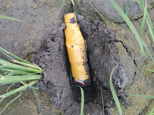 ani_digital's tweet image. BSF recovers pistol parts, live rounds in Punjab's Tarn Taran 

Read @ANI Story |
aninews.in/news/national/…
#BSF #pistol #Punjab #TarnTaran