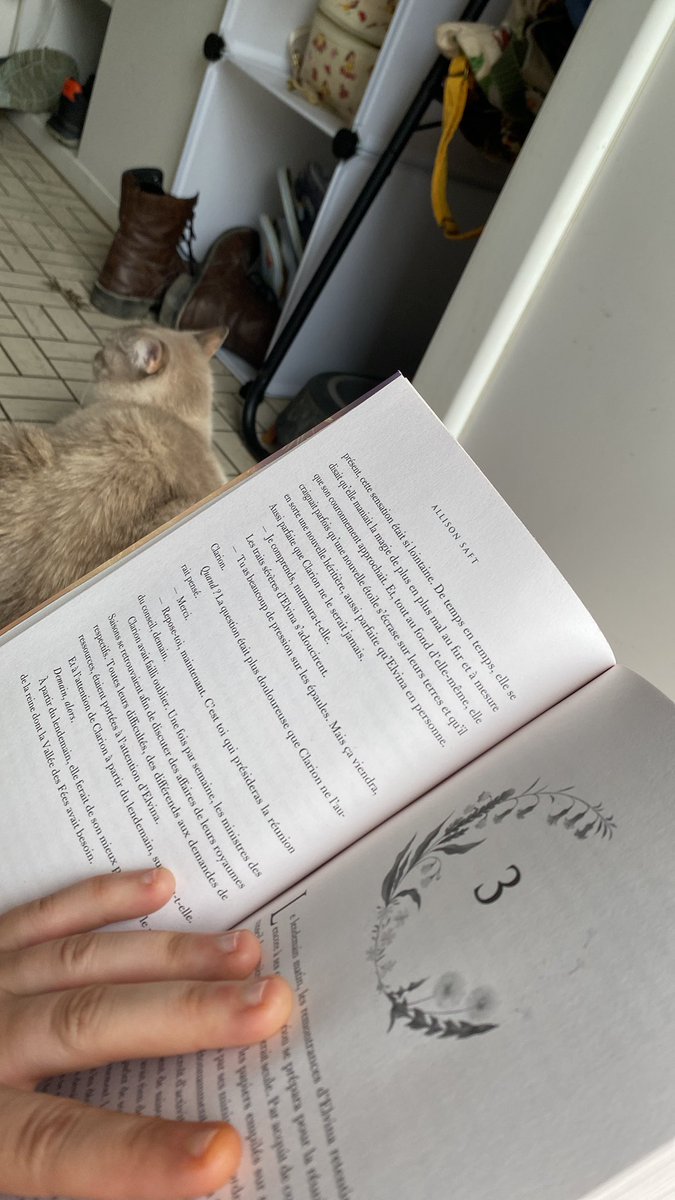 calypsodaugther's tweet image. Les matins doux 🤍