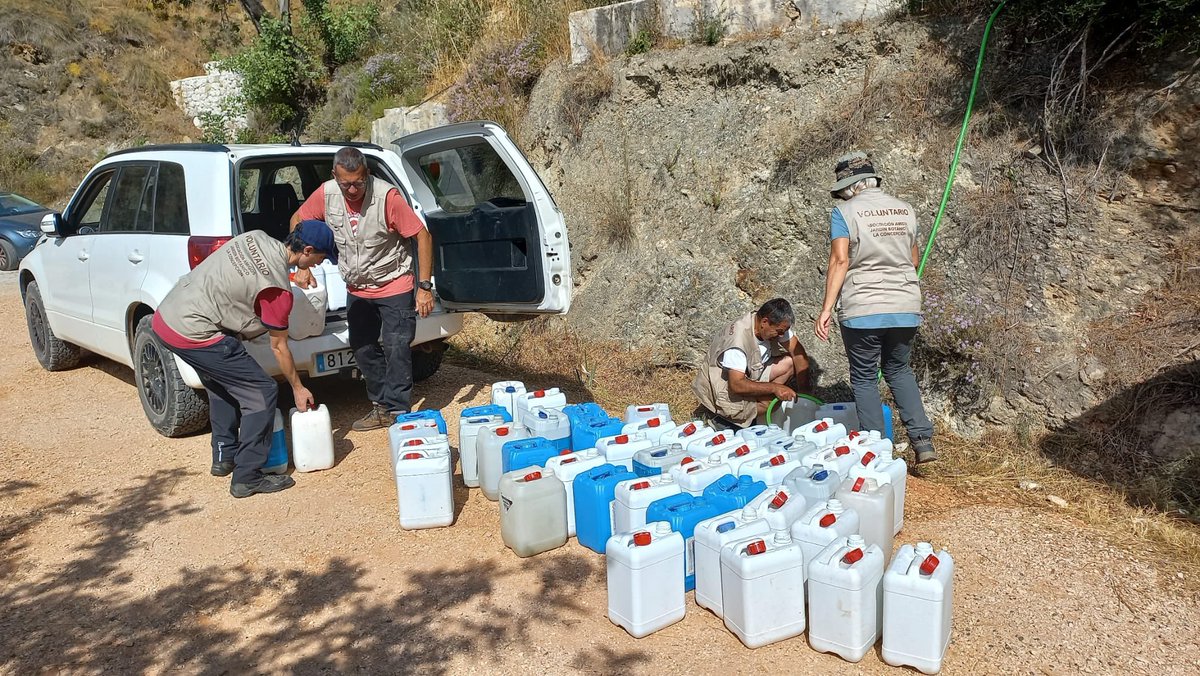 Aso.AmigosConcepcion (@aajbhc) on Twitter photo Plantar es solo el primer paso hacia un bosque….
Voluntarios Grupo Forestal de nuestra Asociación ❤️
<a href="/verdejomar/">Mar Verdejo Coto</a> <a href="/BosqueHabitado/">El Bosque Habitado</a>
<a href="/radio3_rne/">Radio 3</a>
#OperacionEncinaRadio3
<a href="/rtve/">RTVE</a> Plantar es solo el primer paso hacia un bosque….
Voluntarios Grupo Forestal de nuestra Asociación ❤️
<a href="/verdejomar/">Mar Verdejo Coto</a> <a href="/BosqueHabitado/">El Bosque Habitado</a>
<a href="/radio3_rne/">Radio 3</a>
#OperacionEncinaRadio3
<a href="/rtve/">RTVE</a>