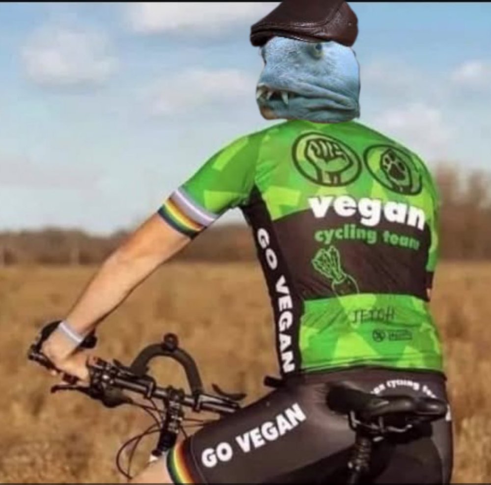 Kutterchen1510's tweet image. Wenn du als einfacher Radfahrer im Straßenverkehr noch nicht genug gehasst wirst!