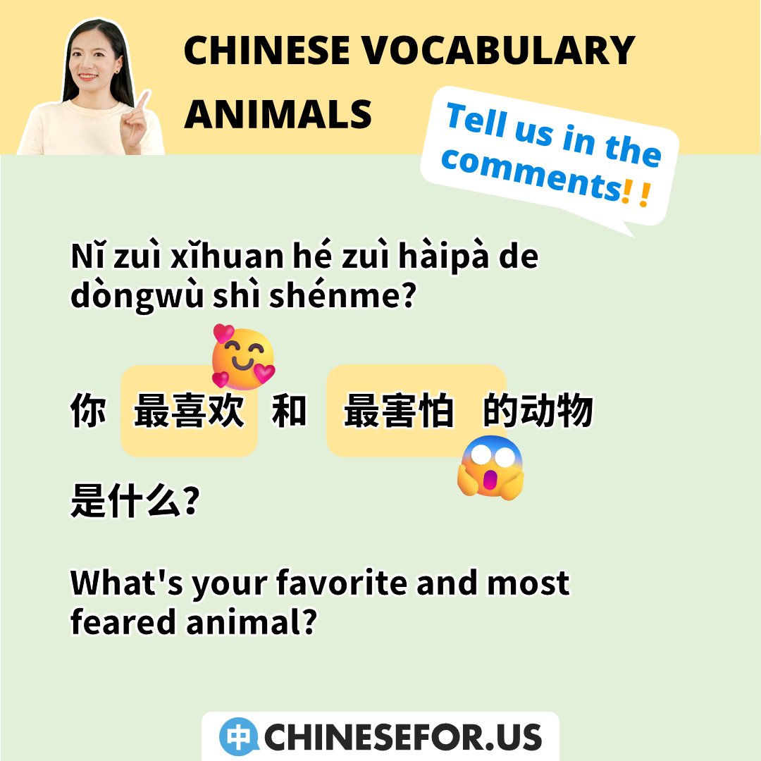 chinese4us's tweet image. 🐶🐰🦊🐼🐷Out of these animals in Chinese...

💬Nǐ zuì xǐhuan hé zuì hàipà de dòngwù shì shénme?
你最喜欢和最害怕的动物是什么？
What&apos;s your favorite and most feared animal?

😊Comment and let us know!!!

#learnchinese #learnmandarin #chineselanguage #chinese #animalinchinese