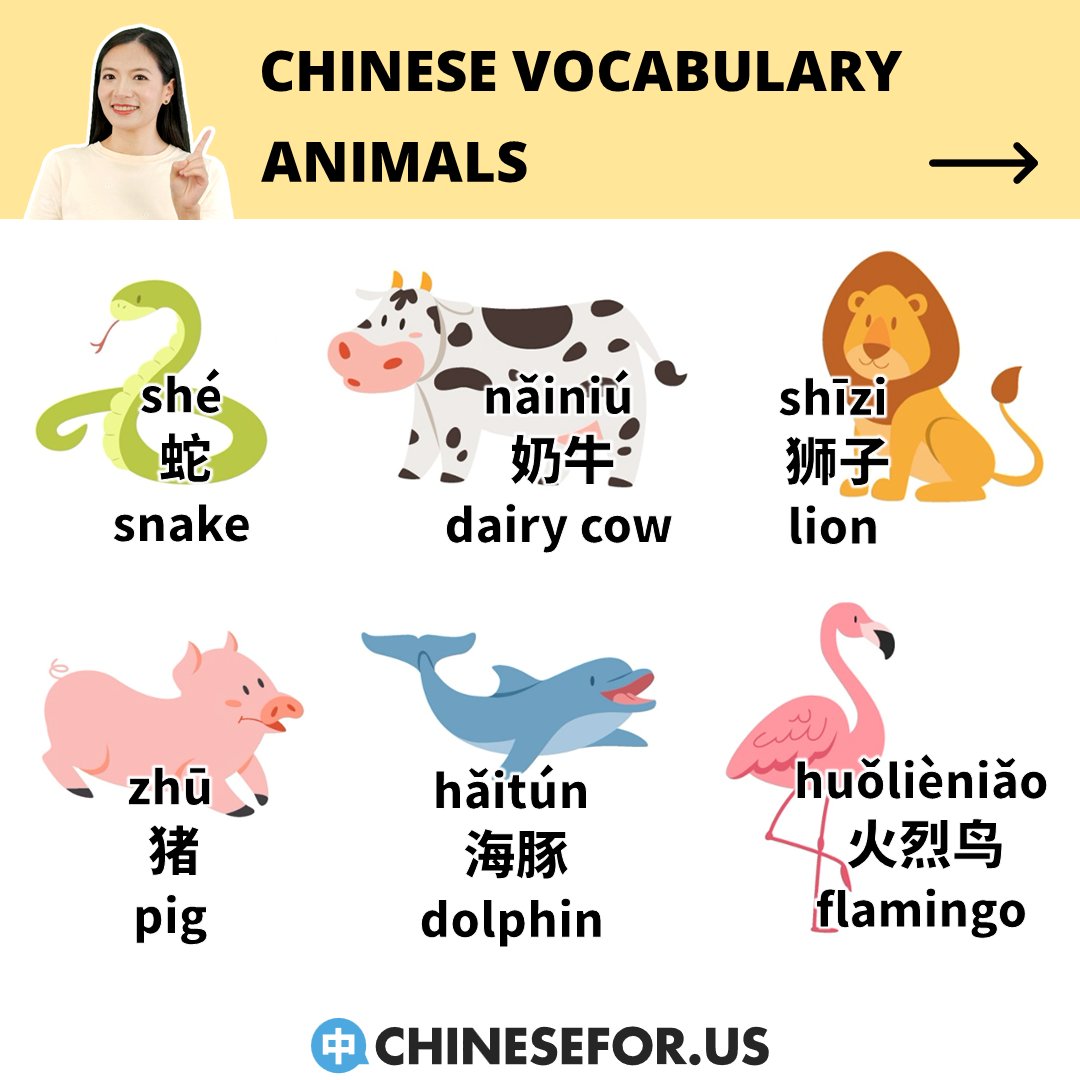 chinese4us's tweet image. 🐶🐰🦊🐼🐷Out of these animals in Chinese...

💬Nǐ zuì xǐhuan hé zuì hàipà de dòngwù shì shénme?
你最喜欢和最害怕的动物是什么？
What&apos;s your favorite and most feared animal?

😊Comment and let us know!!!

#learnchinese #learnmandarin #chineselanguage #chinese #animalinchinese