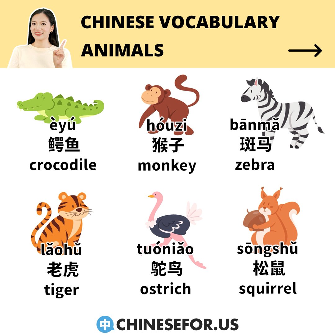 chinese4us's tweet image. 🐶🐰🦊🐼🐷Out of these animals in Chinese...

💬Nǐ zuì xǐhuan hé zuì hàipà de dòngwù shì shénme?
你最喜欢和最害怕的动物是什么？
What&apos;s your favorite and most feared animal?

😊Comment and let us know!!!

#learnchinese #learnmandarin #chineselanguage #chinese #animalinchinese