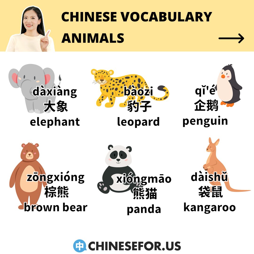 chinese4us's tweet image. 🐶🐰🦊🐼🐷Out of these animals in Chinese...

💬Nǐ zuì xǐhuan hé zuì hàipà de dòngwù shì shénme?
你最喜欢和最害怕的动物是什么？
What&apos;s your favorite and most feared animal?

😊Comment and let us know!!!

#learnchinese #learnmandarin #chineselanguage #chinese #animalinchinese
