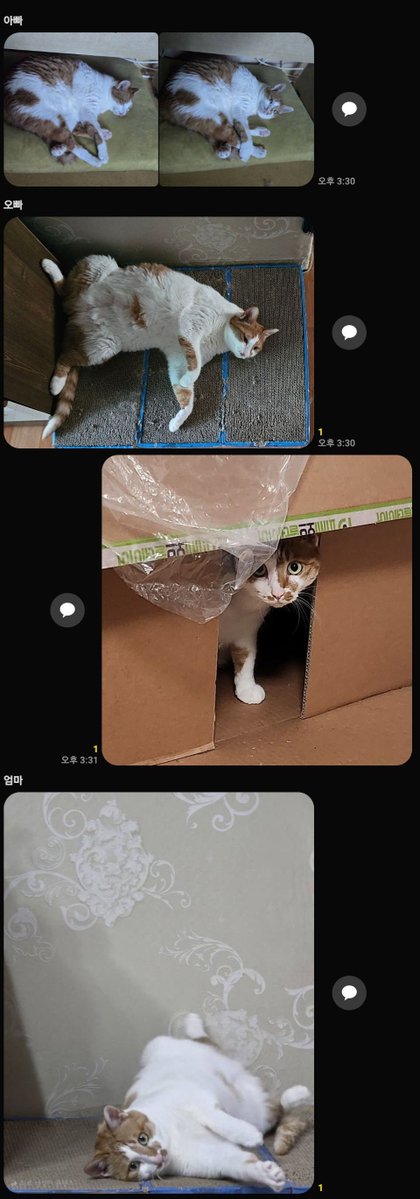 _7M_3's tweet image. 나에게만느껴지는거리감경계심