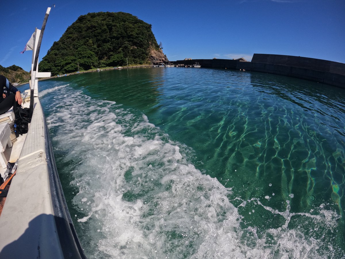 umizono's tweet image. いぃ~天気、いぃ~海がまだまだ続いてます。
今日はファン2ボートのち15時~体験ダイビング!
①漁礁 水温24.2度(水深25m)透視度15~20m
②羽尾鼻 水温25.4度(水深21m)透視度15~18m
③羽尾旧突堤 水温29.2度(水深4m)透視度15m
今日の海中も楽しく快適に過ごせました。#鳥取県 #岩美町
