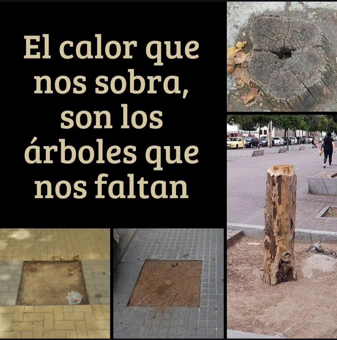 Rincón Curioso (@rincncuriosoo) on Twitter photo 