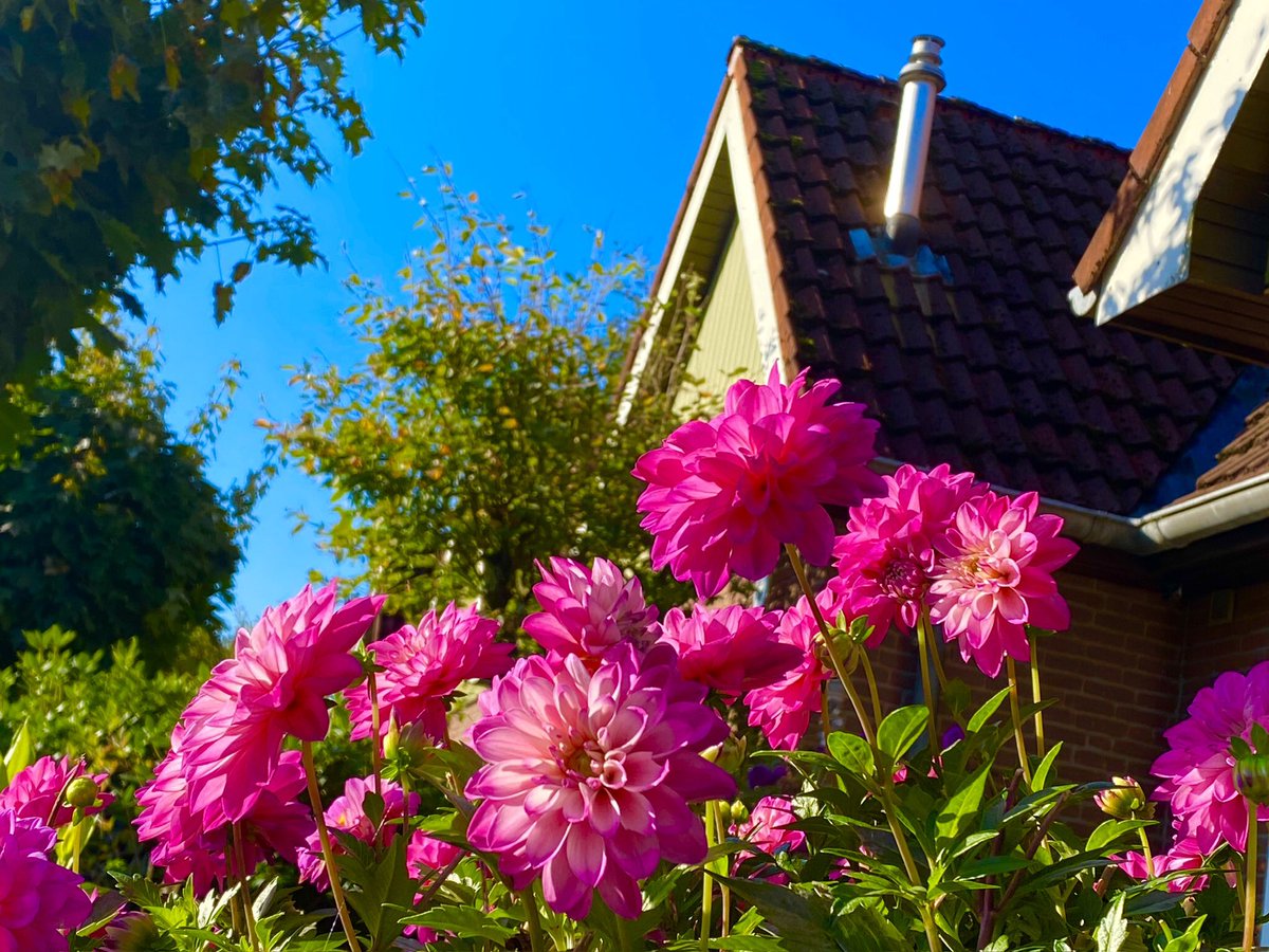 Happy Sunday all my friends and people in the world 🌍💝🤩😁😍🤗🥰🍀✌️🌍👍🍀☕️🍦🌺🌹
