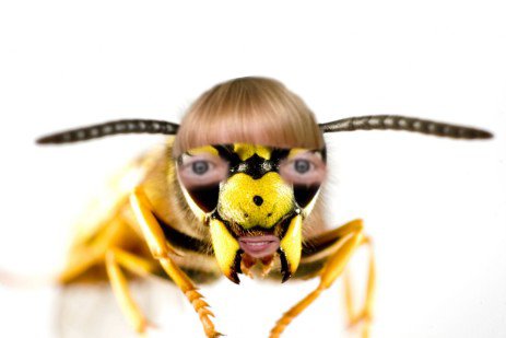 Kutterchen1510's tweet image. Um welches Tier handelt es sich?