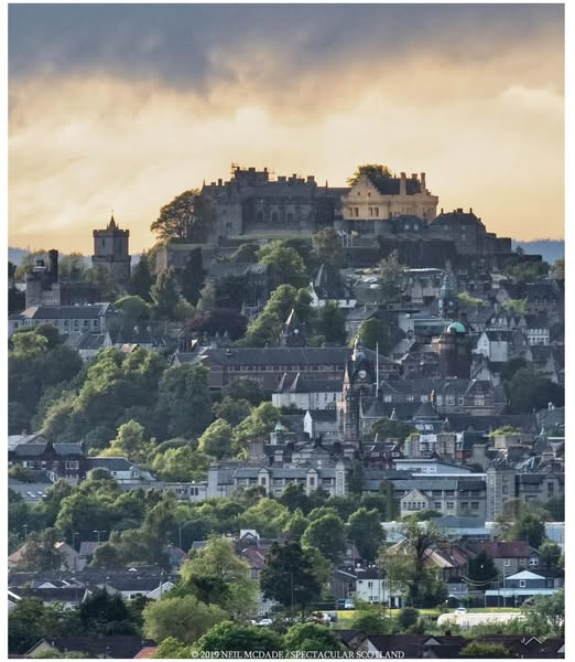 freddie barss tweet media