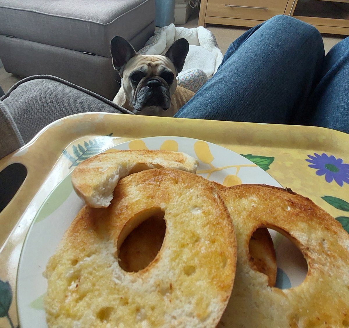 hackbridgeharry's tweet image. Her Majesty Queen Willow of The Wandle, The Duchess of Cheeky Chops has returned on a state visit and is now helping me eat some toasted bagels.