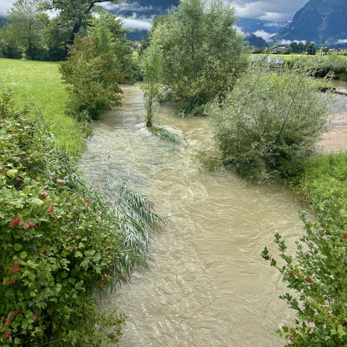 rickmessini's tweet image. Der Hitzesommer hittet hart