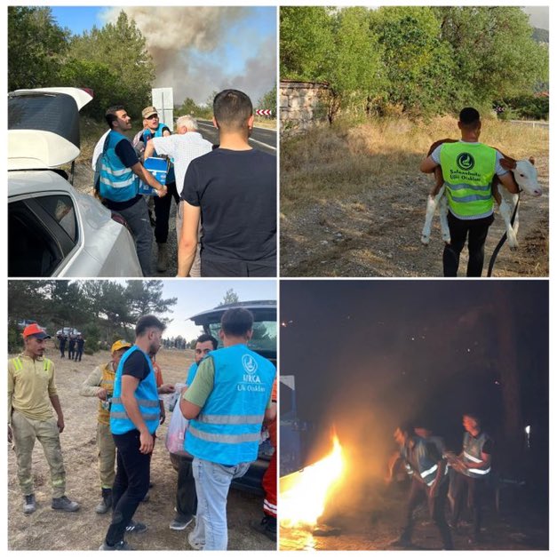 🇹🇷Prof. Dr. Ruhi ERSOY (@ersoyruhi) on Twitter photo Yurdumuzun dört bir yanında meydana gelen orman yangınları hepimizin yüreğini de yakıyor!
Ülkü Ocaklı gençlerimiz, Yeşil Vatan bilinciyle yangın bölgelerinde özverili bir şekilde çalışmalarını sürdürüyor. Ülkü Ocakları Genel Başkanı
Sn <a href="/ayyildirim1/">Ahmet Yiğit Yıldırım</a>
bu çalışmaları sahada Yurdumuzun dört bir yanında meydana gelen orman yangınları hepimizin yüreğini de yakıyor!
Ülkü Ocaklı gençlerimiz, Yeşil Vatan bilinciyle yangın bölgelerinde özverili bir şekilde çalışmalarını sürdürüyor. Ülkü Ocakları Genel Başkanı
Sn <a href="/ayyildirim1/">Ahmet Yiğit Yıldırım</a>
bu çalışmaları sahada