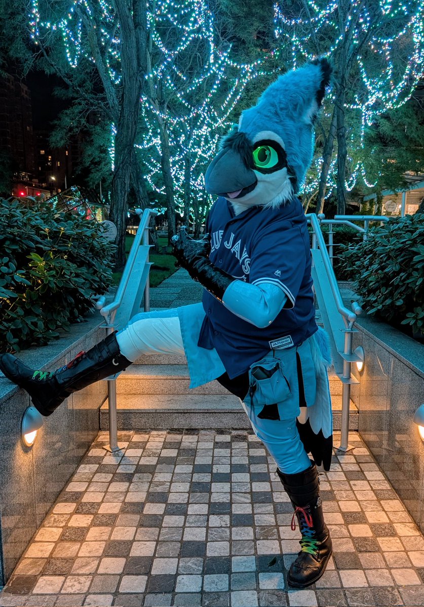 Squawk_the_Jay's tweet image. ATTENTION:

Cute birds in your area.