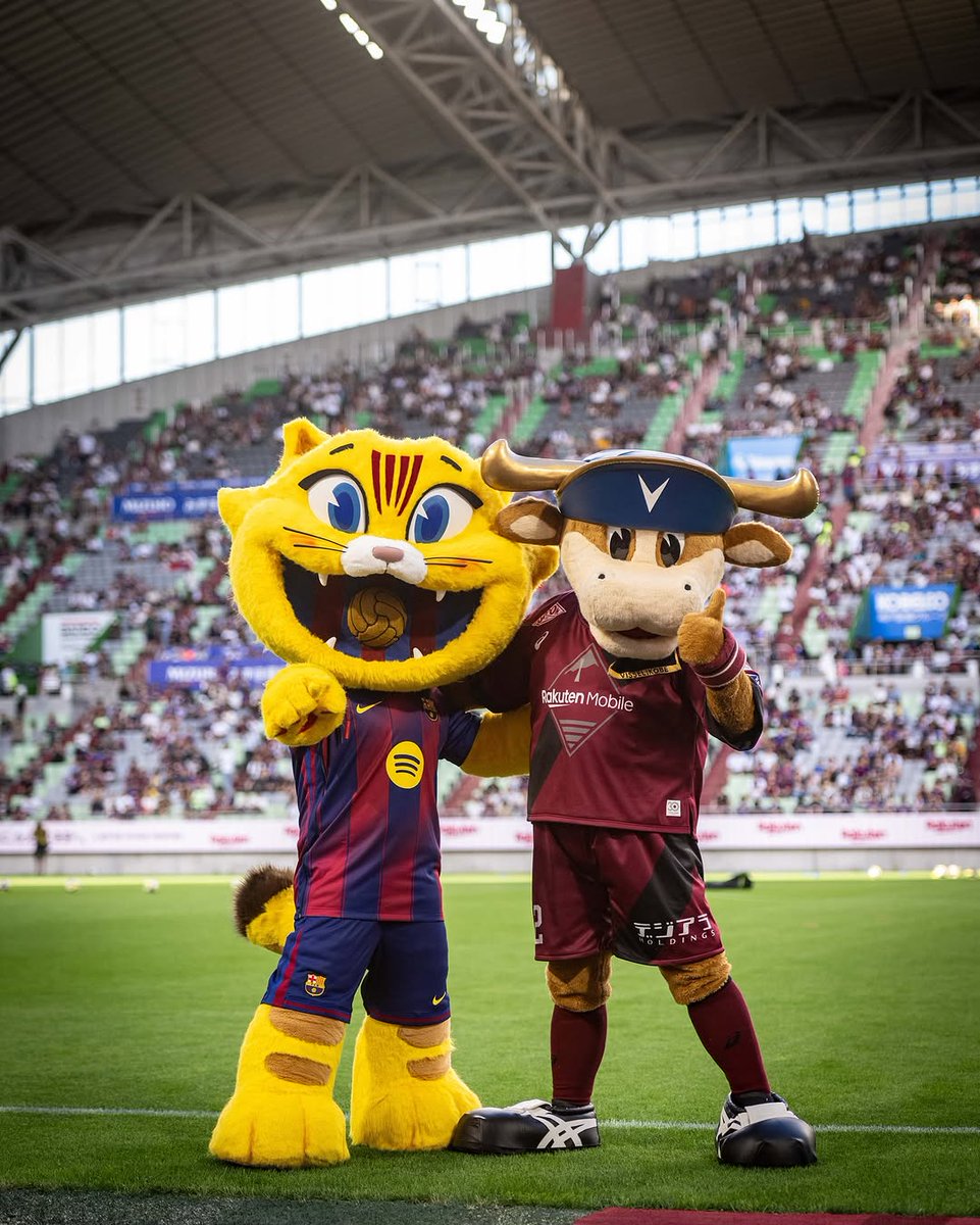 oss_roby's tweet image. 猫とモーヴィ！
