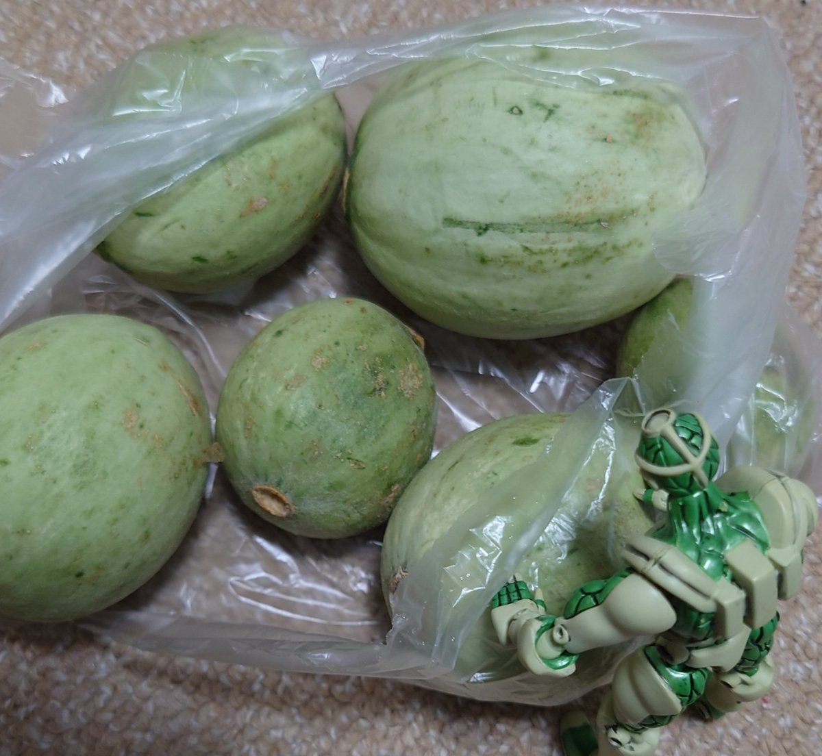 hiramenn's tweet image. 漬物用摘果🍈