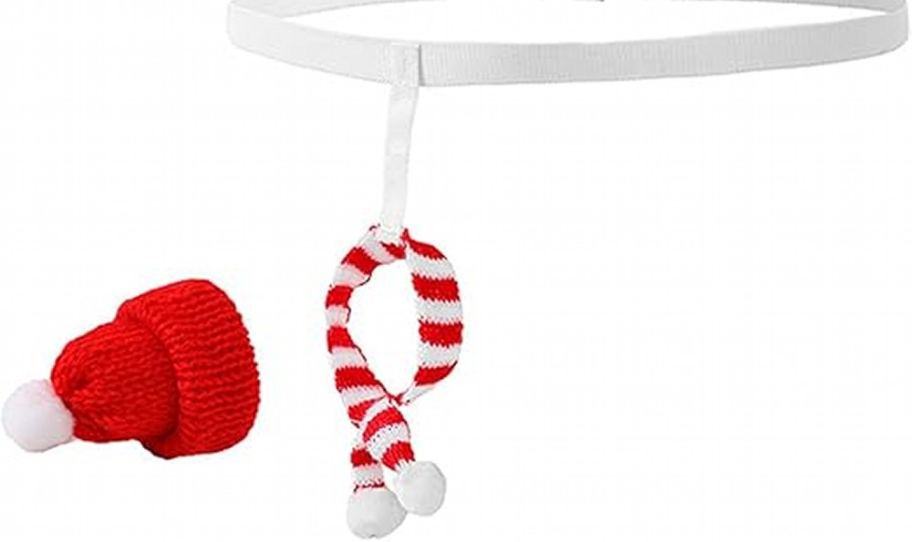 亀頭ニット帽付き♪「おちんちん用クリスマスコス」発売中！購入⇒amzn.to/3VgMBGs