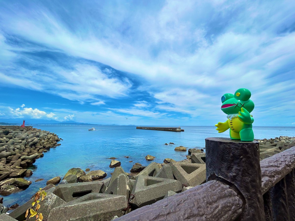 negitorock's tweet image. 池袋で出会ったジャンボテッチに広い海を見せてあげました🌊🐸⁉️ #Elfrog工房
