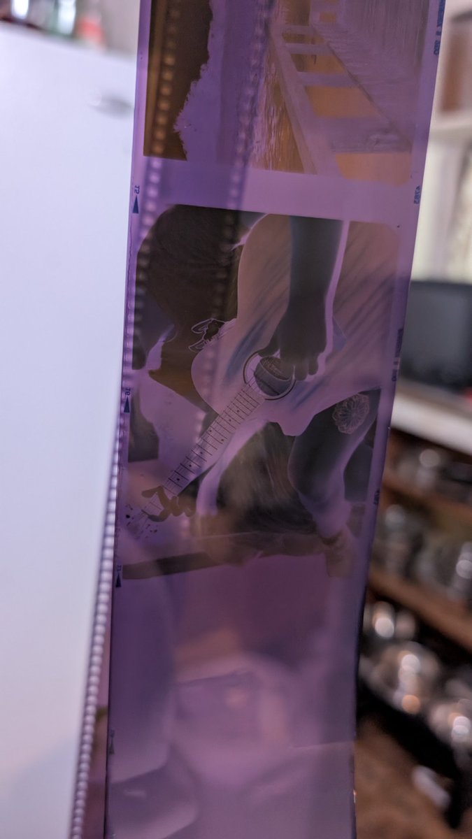 parvo_dog's tweet image. first roll of 120 and 135 phoenix II amazing base color