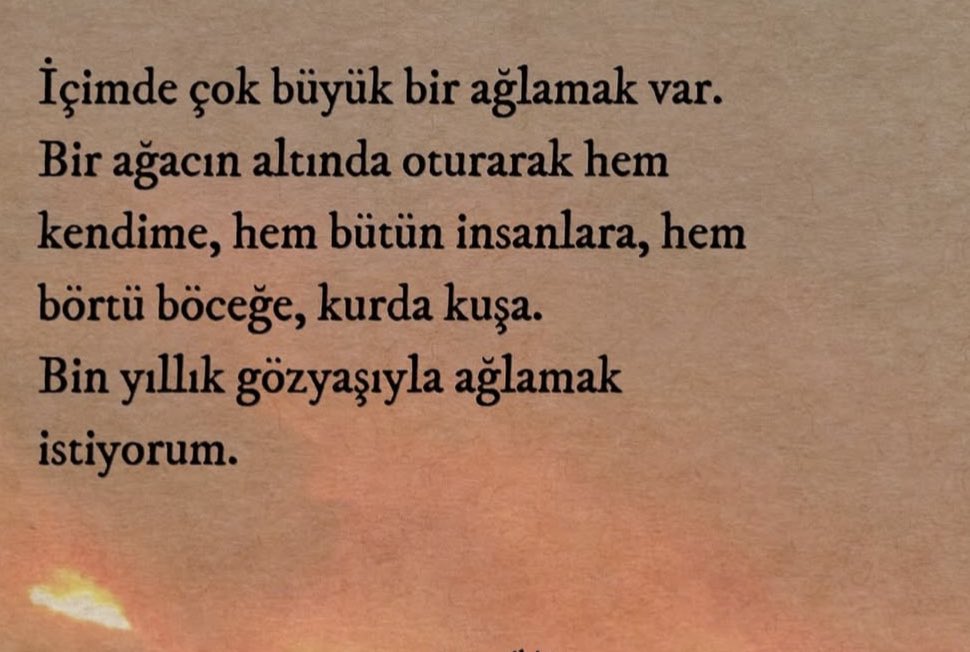 Doğan Yılmaz (@sosyalist_adam4) on Twitter photo 