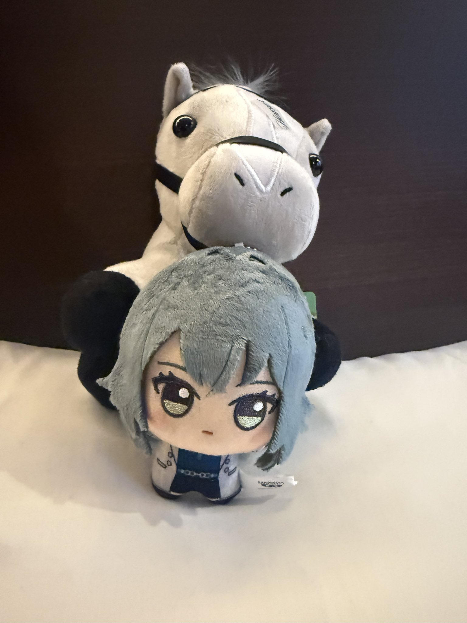銀嶺（ぴよりん）⛄🐚 on X: 