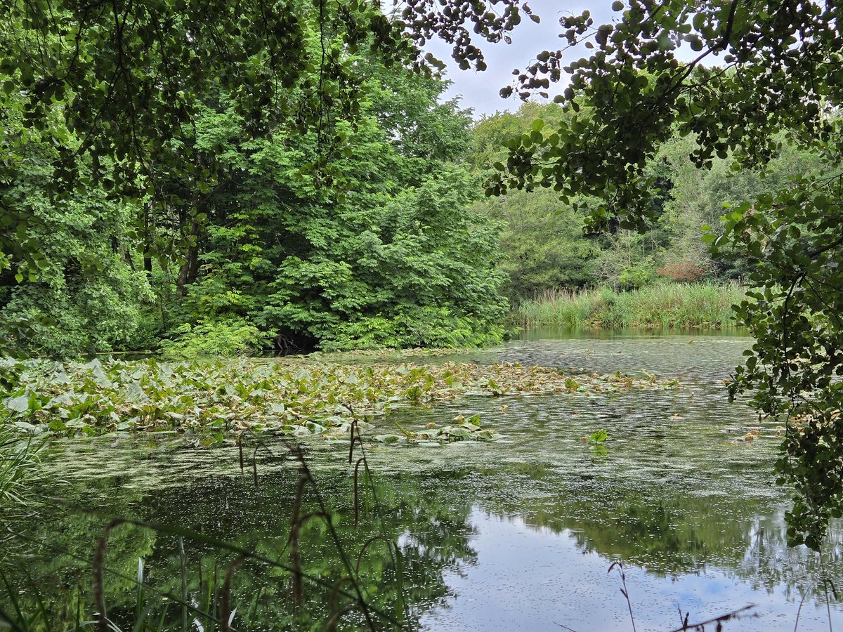 CllrJRussell46's tweet image. Peaceful walk through the Gravetye Estate this morning.