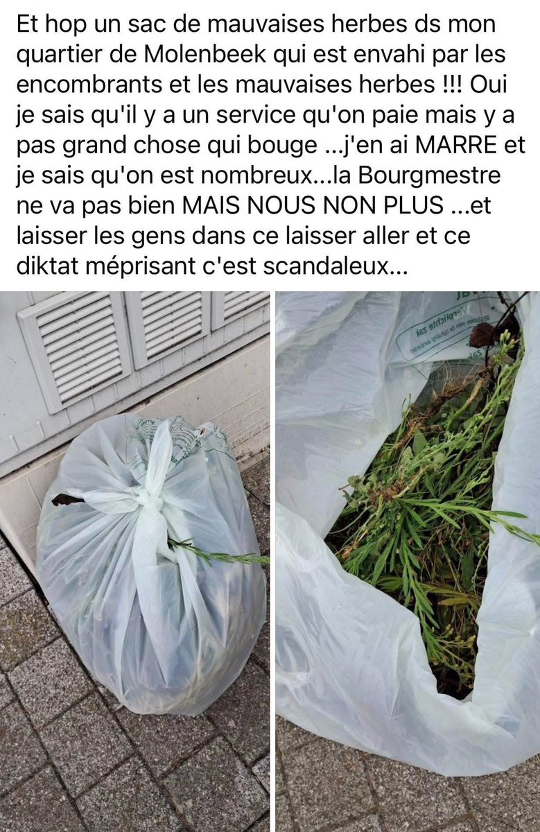 alxdm's tweet image. Molenbeek avec une majorité PS-PTB-Ecolo, c’est une décharge à ciel ouvert.
Quand on importe le tiers-monde, on devient le tiers-monde…