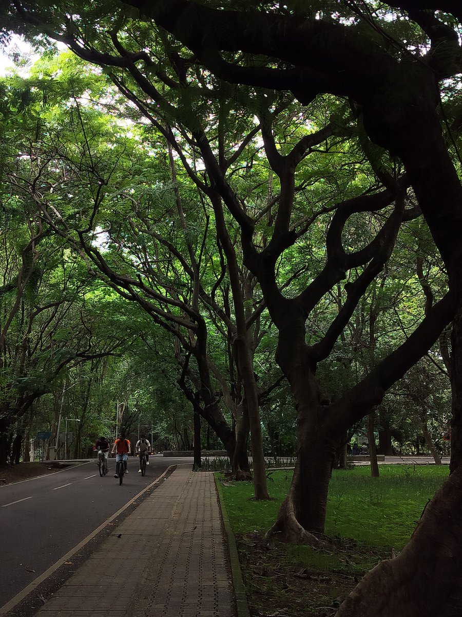 Nothing beats a lazy Sunday in campus.
📍IISc, Bengaluru 
#iiscbangalore
<a href="/iiscbangalore/">IISc Bangalore</a>