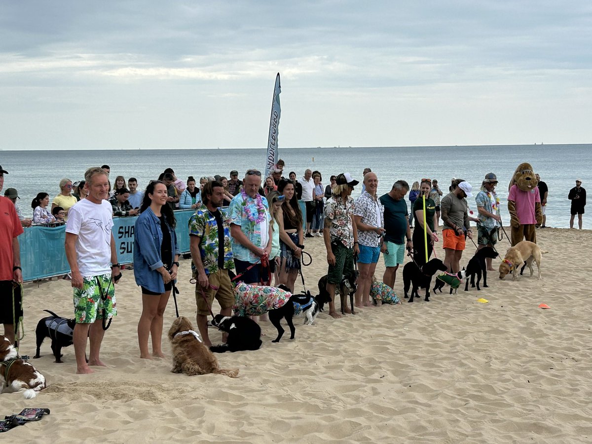 Yesterday it was the Red Arrows, today it’s Dog Surfing! <a href="/Bournemouthecho/">Bournemouth Echo</a>