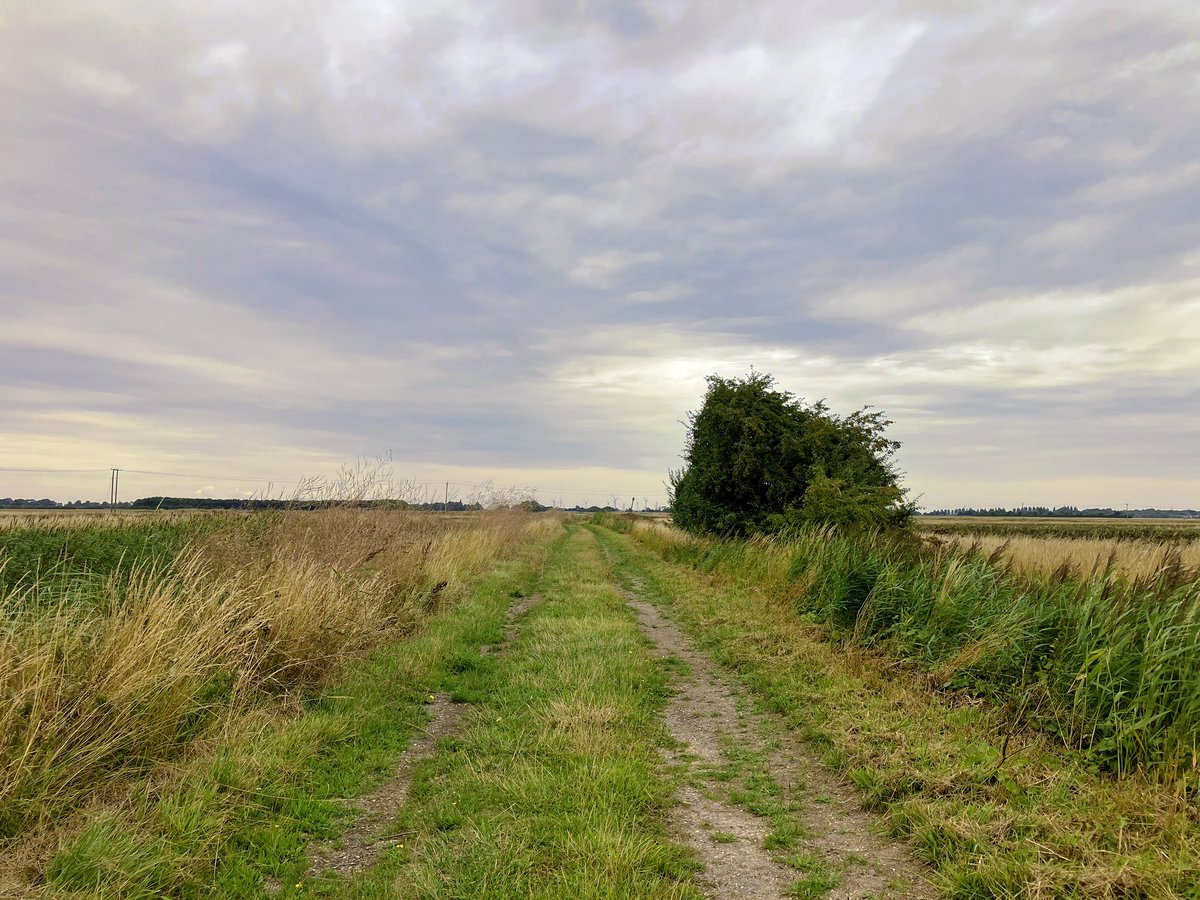 Sometimes on these fenland tracks it’s eerie.
The dog won’t leave you and the rustling reeds sound almost menacing as you pass. You keep looking round but there’s nobody there.
We didn’t go far today.