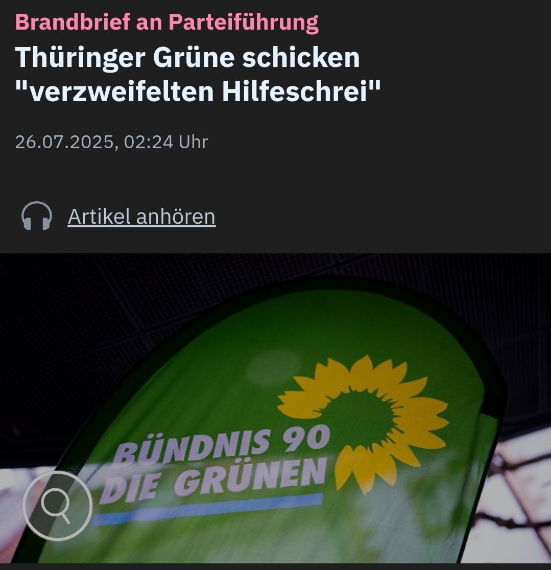"Immer mehr Mitglieder ziehen sich aus dem aktiven Parteileben zurück. Immer mehr Mitgliedern fällt auf, dass 'Grün-Sein' in Thüringen bedeutet, Steine im beruflichen und alltäglichen Handeln in den Weg gelegt zu bekommen. Angst fängt an, sich breitzumachen"
