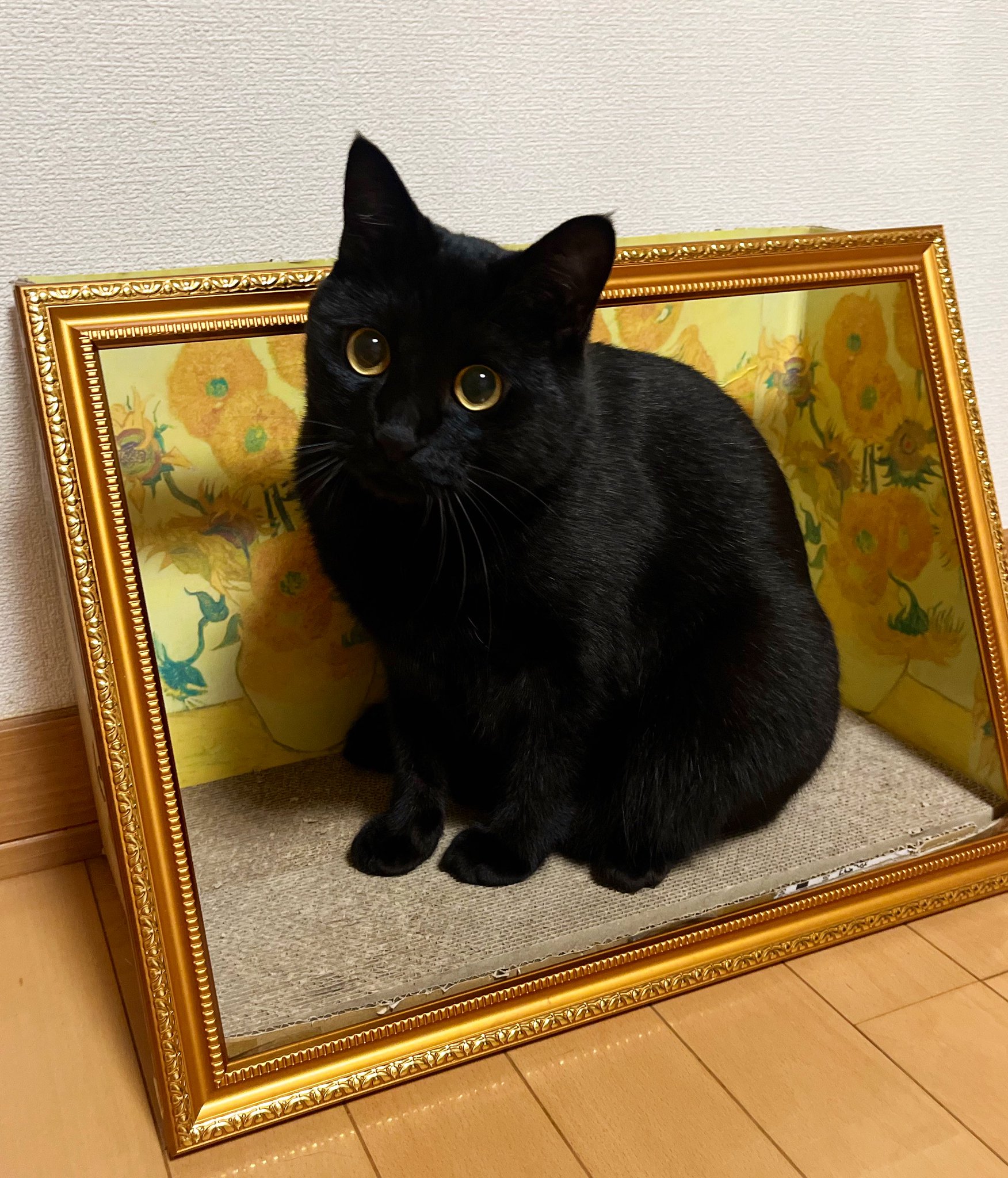 くろ猫さまリクエスト ★UNITED TOKYO アンバランスジャンスカ くろ猫さまリクエスト ☆UNITED TOKYO アンバランスジャンスカ