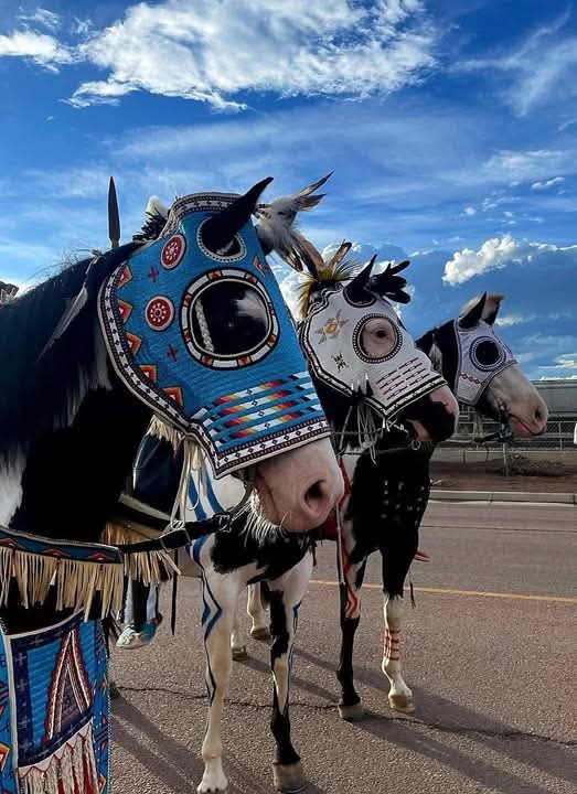 native_history_'s tweet image. Beautiful beadwork on these horses. ❤️
Photo by: Andrea Thompson 📸
