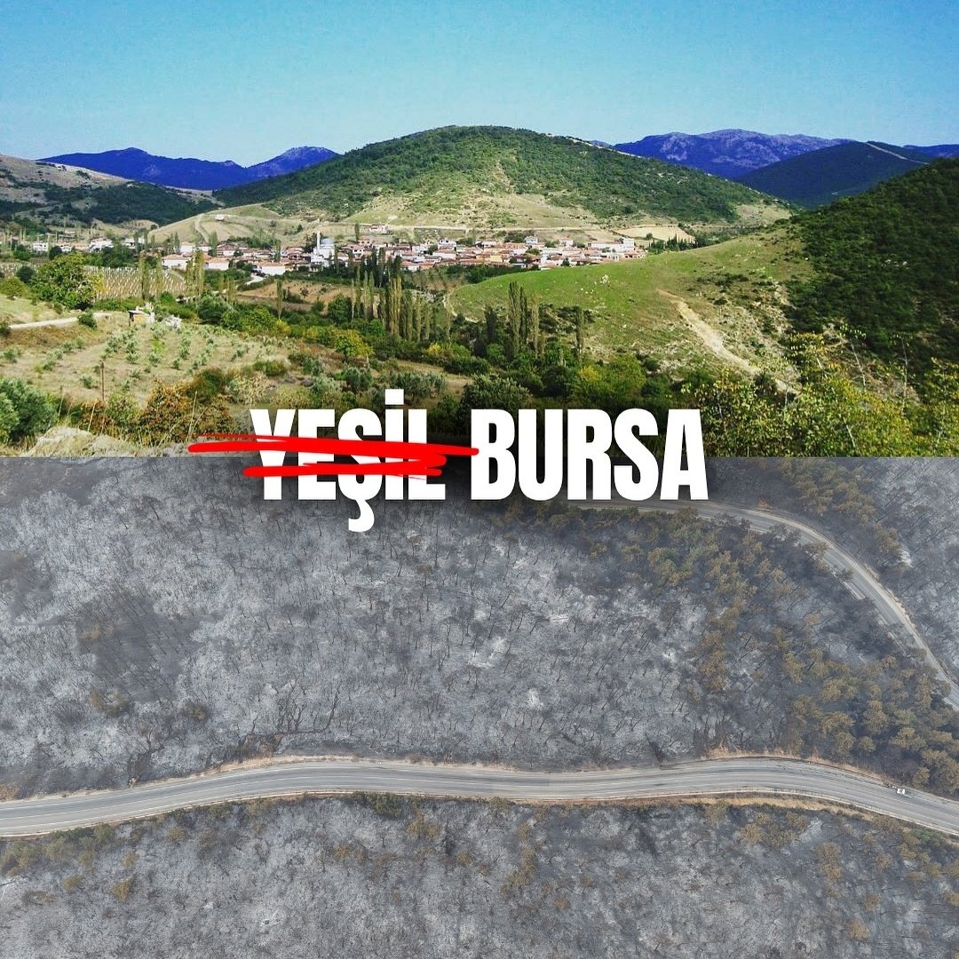 bursa artık yeşil değil yitik