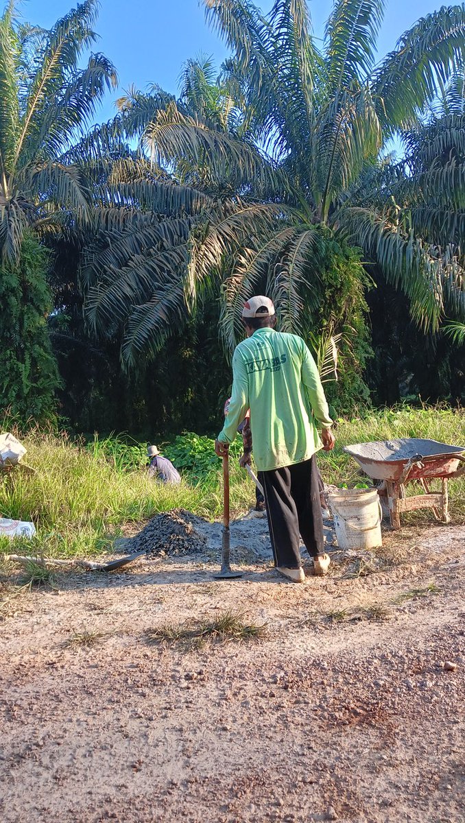 sultonIjo's tweet photo. Kalimantan lagi panas panasnya https://t.co/5Pd2oDblj1