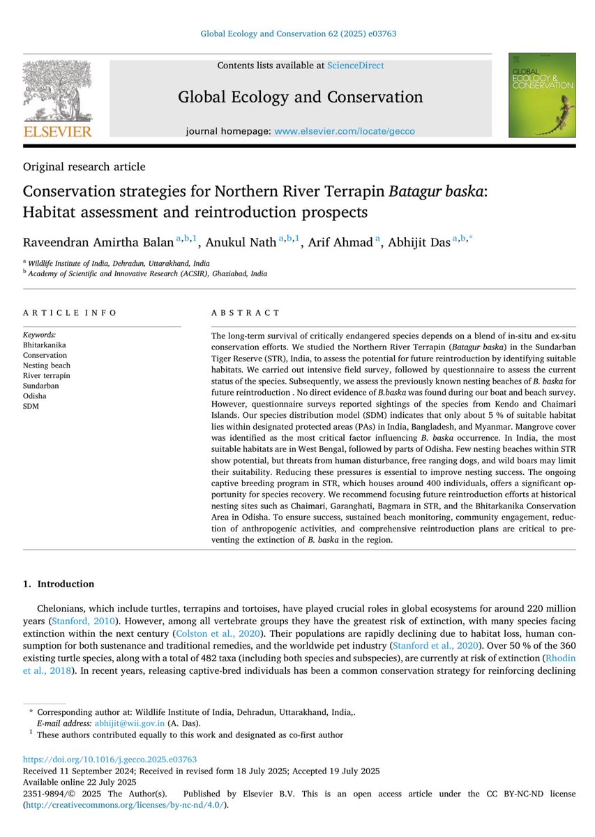 The Northern River Terrapin (Batagur baska), once widespread in India’s estuaries, is now one of the world’s most critically endangered turtles. With no confirmed wild sightings in decades, there is hope to bring back the species in the wild. 🌱💧

A new open-access study